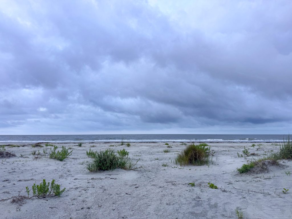 sea-island-2025-133-scaled.jpg