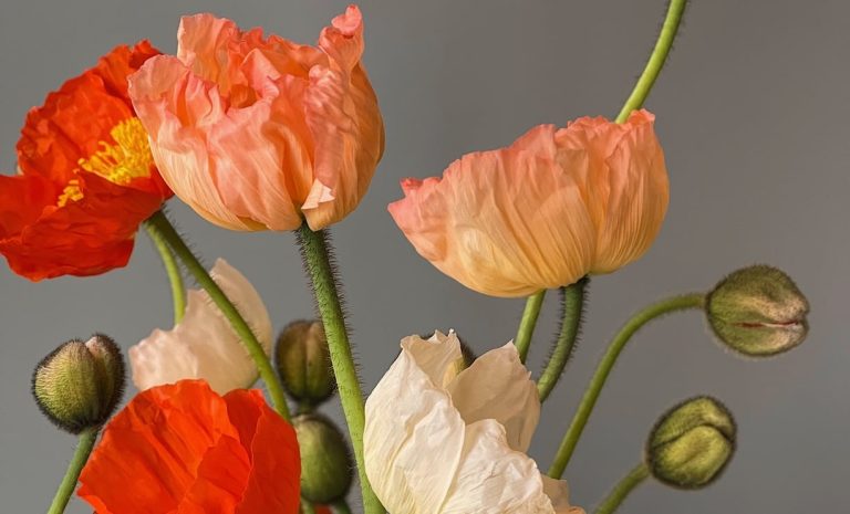 flowers.jpeg