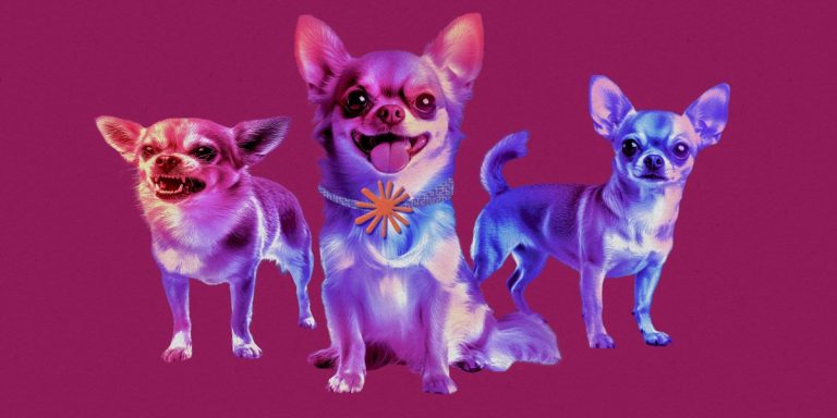 personalities-pups.jpg